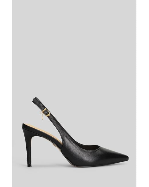 Carrano Black Pumps