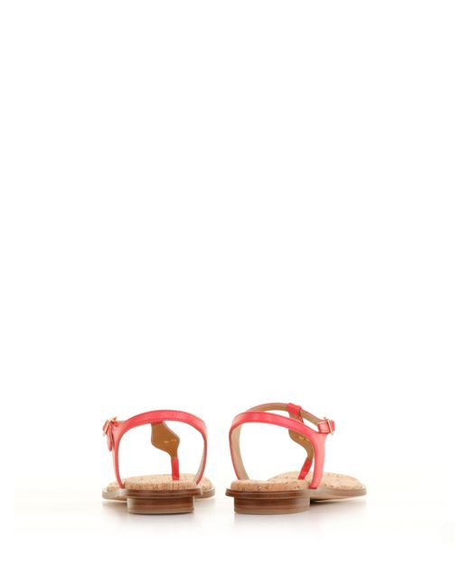 Michael Kors Pink Flip Flop Sandal With Logo