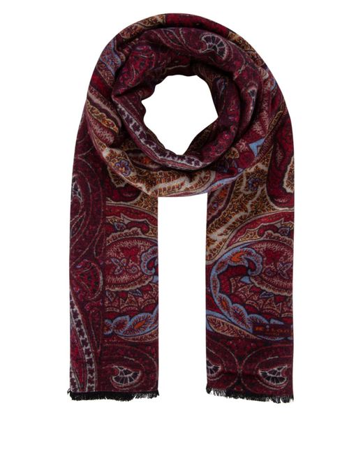 Kiton Purple Scarves And Foulards for men