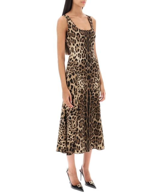 Dolce & Gabbana Natural Leopard Print Jersey Midi Dress