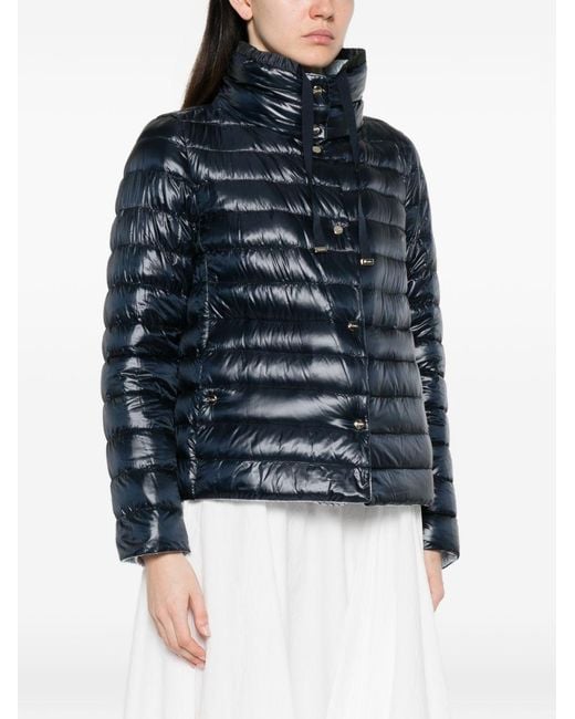 Herno Blue Coats