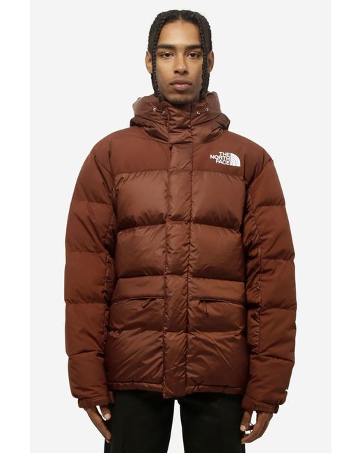 The North Face M Hmlyn Down Parka Clothing in Brown for Men | Lyst