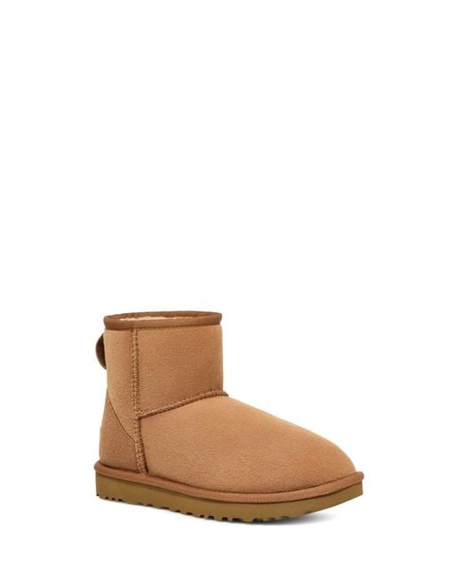 Ugg Brown Boots Leather