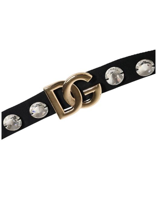 Dolce & Gabbana Brown Crystal Embellished Bikini Bottom Swimwear Elastane Nylon Clothing
