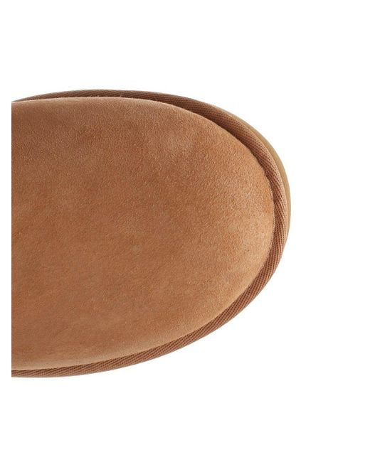 Ugg Brown Chestnut Mini