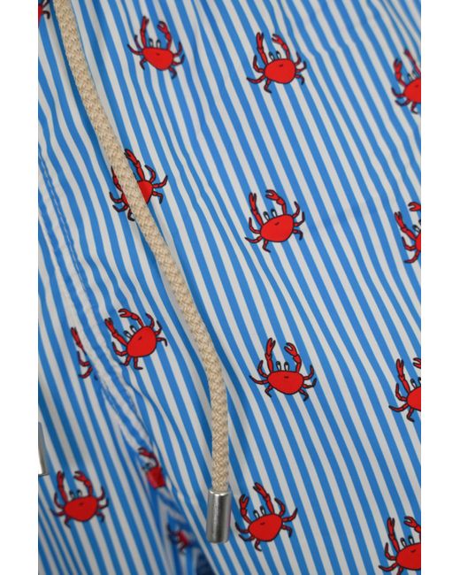 Mc2 Saint Barth Blue Comfort Light Swimsuit With Crab Print for men