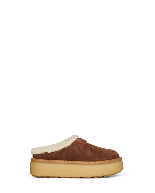 Prada Brown Calzature Cocoa Suede Slippers