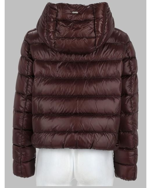 Herno Brown Jacket Ultralight Nylon, Polyamide Trench & Raincoats