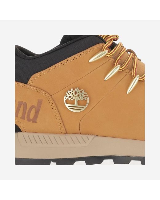 Timberland Brown Sprint Trekker Leather Sneakers for men