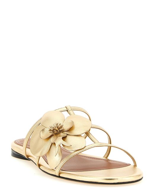Zimmermann Metallic Orchid Sandals