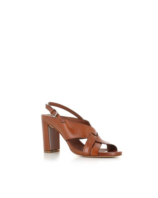 Roberto Del Carlo Brown Sandal 11921
