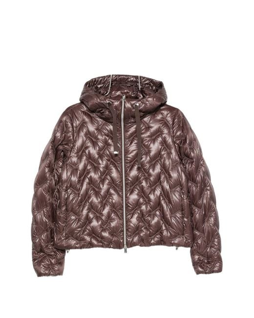 Herno Brown Coats