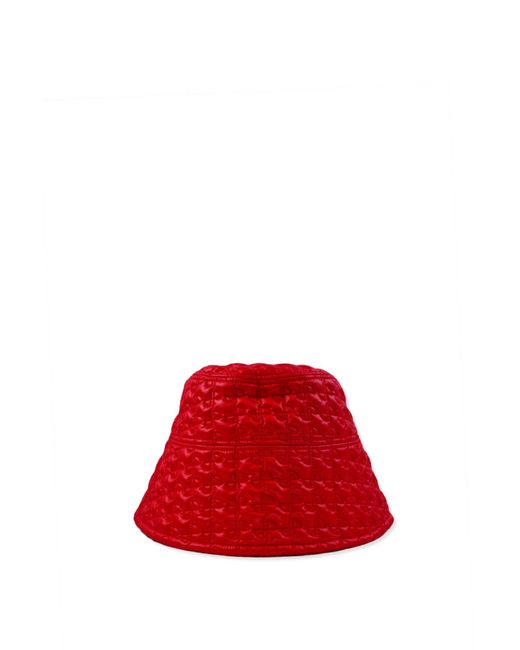 Patou Red Hat