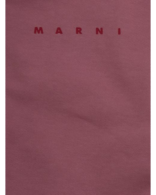 Marni Red Sweatshirt Girls Cotton Hoods & Sweatshirts