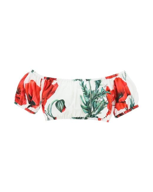 Dolce & Gabbana Red Poppy Print Cotton Crop Top