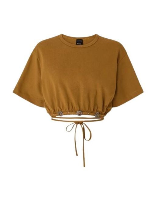 Pinko Brown Sweaters