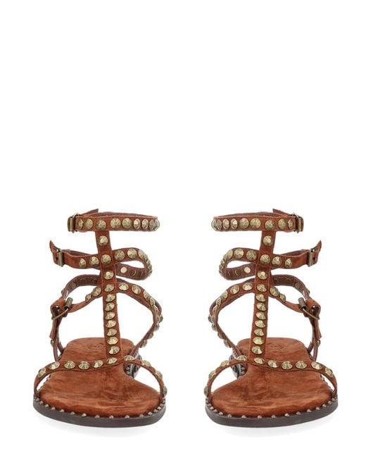 Ash Brown Sandals Play Leather