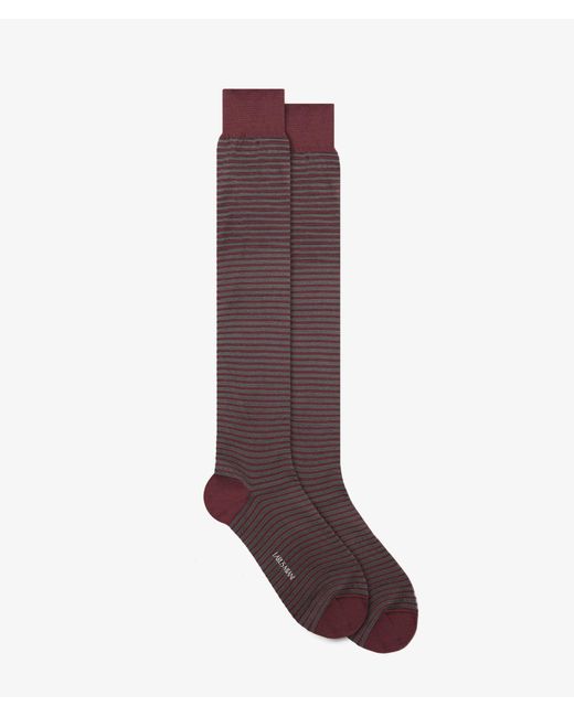 Larusmiani Brown Striped Socks for men