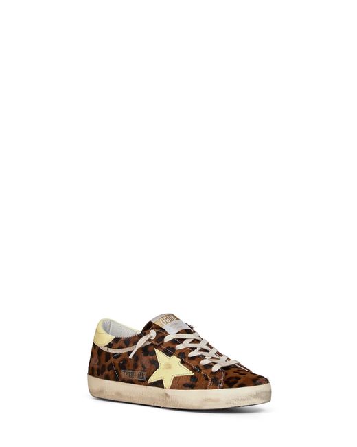 Golden Goose Deluxe Brand Brown Sneakers Super-Star Leopard Pony Skin