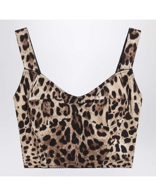 Dolce & Gabbana Brown Dolce&Gabbana Charmeuse Bustier With Leopard Print