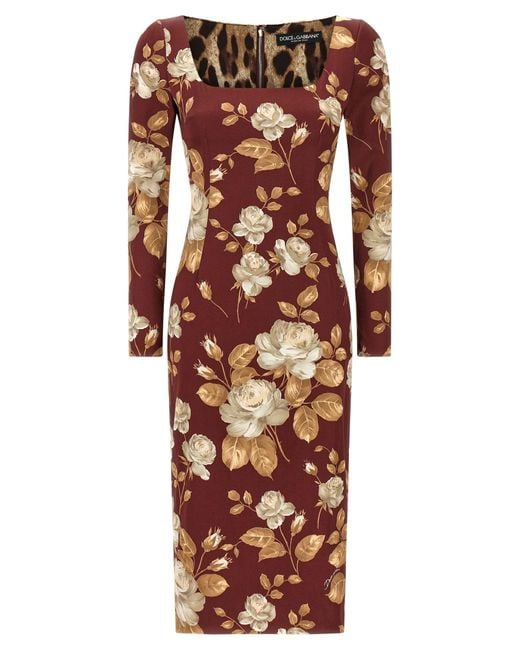Dolce & Gabbana Red Rose Print Dress