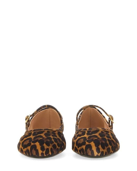 Gianvito Rossi Brown Ballet Flats Carla Animal Print Leather