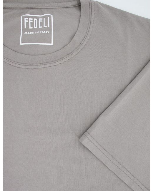 Fedeli Gray T-Shirt for men