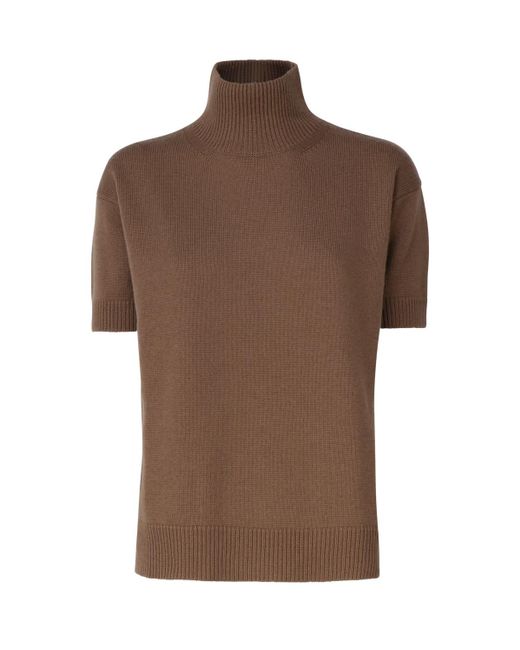 Max Mara Brown Wool And Cashmere Turtleneck