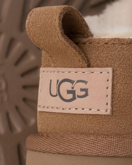 Ugg Brown W Classic Micro Chestnut Sabot