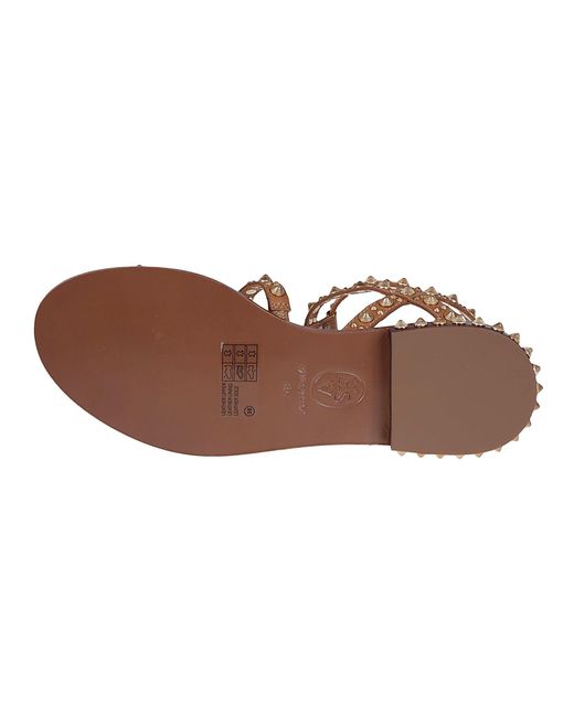 Ash Brown Pepsy Sandals