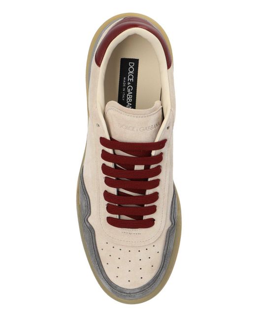 Dolce & Gabbana Brown Sports Shoes New Roma for men