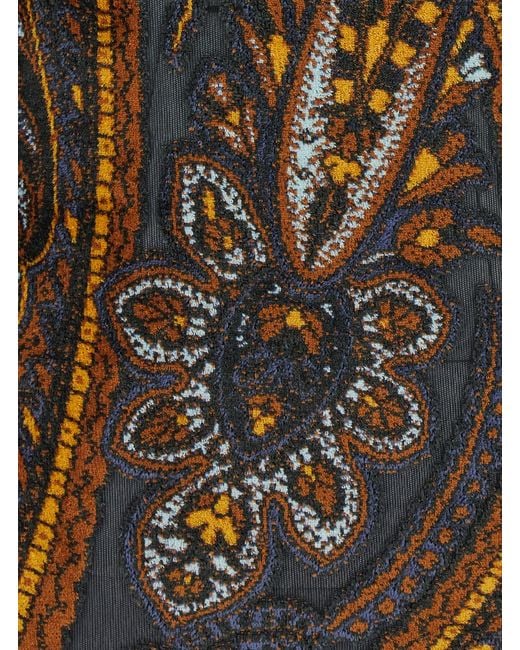 Etro Multicolor Dress Devorè Polyamide