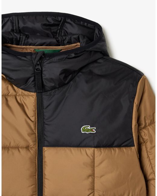 Lacoste Brown Waterproof Colour-Block Puffer Jacket for men