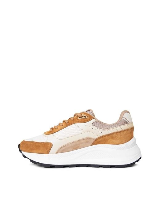 Android Homme Multicolor El Porto Sneakers Shoes for men