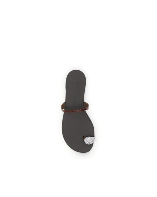 Giuseppe Zanotti Brown Flip Flops