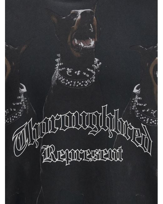 Represent Black Sweatshirts for men