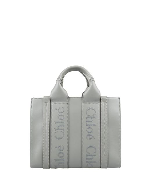 Chloé Gray Woody Small Shopping Bag In Bay Leather