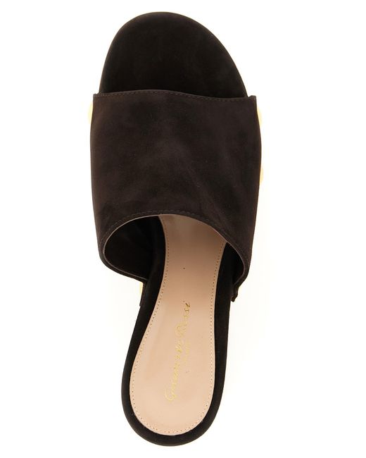 Gianvito Rossi Brown Ardéa Clog