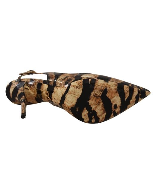 Dolce & Gabbana Black Slingbacks Leather Tiger Shoes Moluro Python