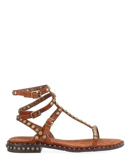 Ash Brown Sandals Play Leather