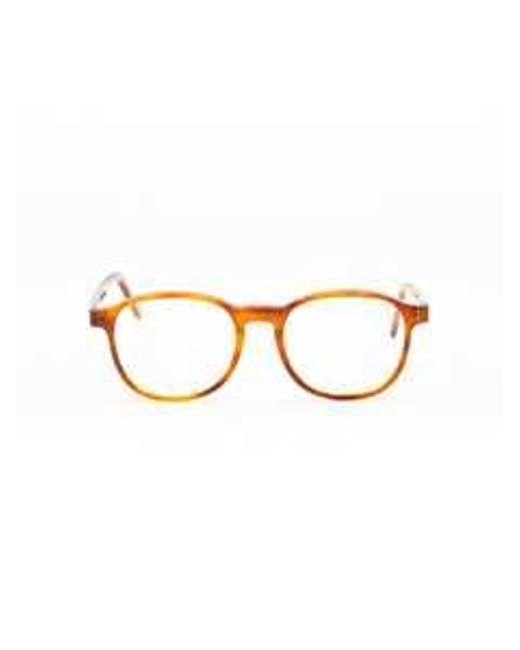 Moli Limo Brown 18D34310A Acetate