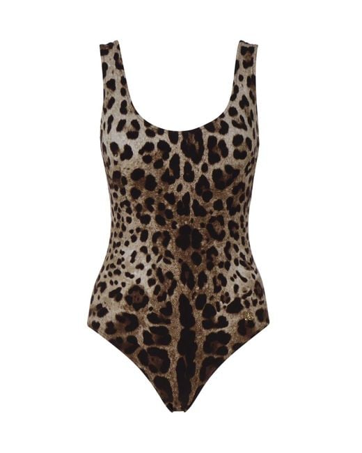 Dolce & Gabbana Brown Print One Piece Swimsuit