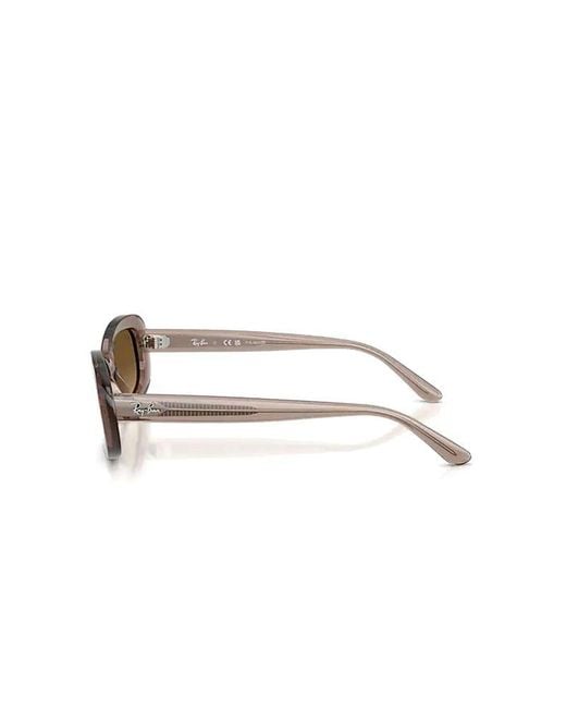 Ray-Ban Brown Sunglasses Acetate Eyewear