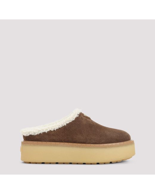 Prada Brown Mules