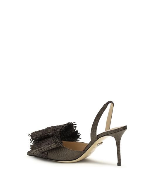 Mach & Mach Multicolor Le Cadeau Pumps
