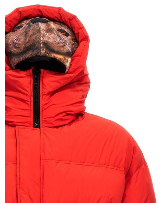 Doublet Red Animal Trim Down Jacket for men