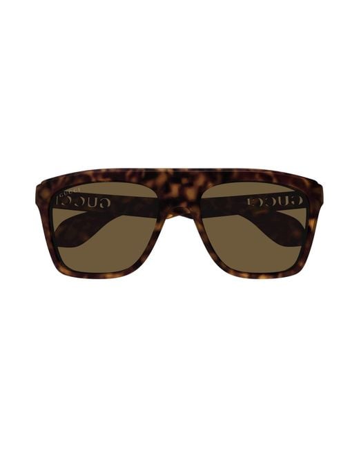 Gucci Brown Sunglasses for men