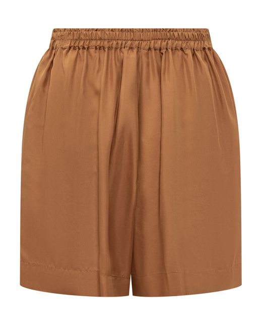 Jucca Brown Shorts