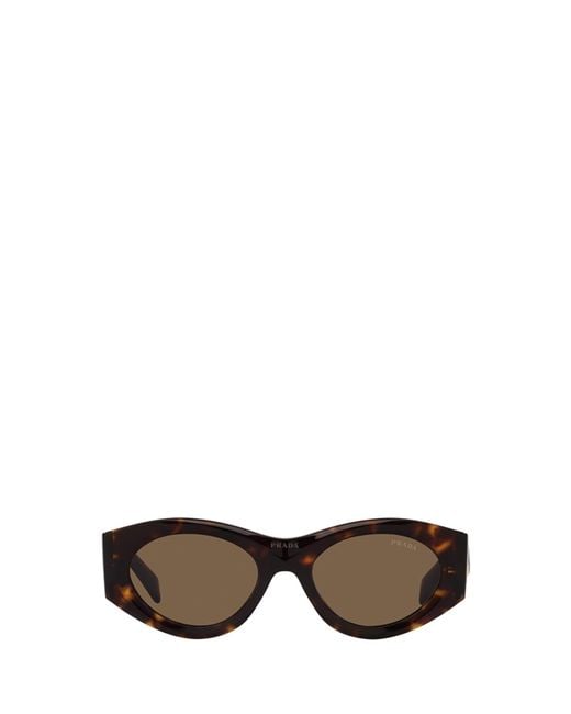 Prada Multicolor Pr 20zs Tortoise Sunglasses