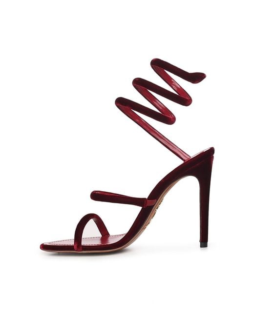 Rene Caovilla Pink Cleo 105 Sandals